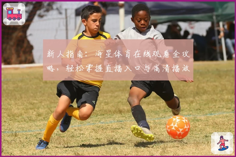 新人指南：海星体育在线观看全攻略，轻松掌握直播入口与高清播放技巧