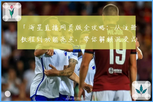 「海星直播网页版全攻略：从注册教程到功能亮点，带你解锁沉浸式观看体验」