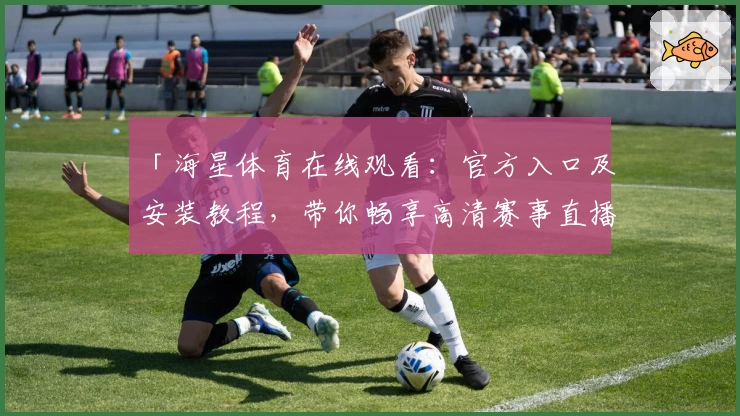 「海星体育在线观看：官方入口及安装教程，带你畅享高清赛事直播体验」