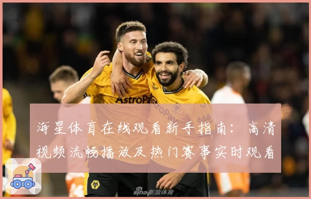 海星体育在线观看新手指南：高清视频流畅播放及热门赛事实时观看教程