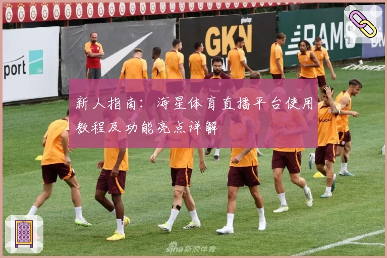 新人指南：海星体育直播平台使用教程及功能亮点详解